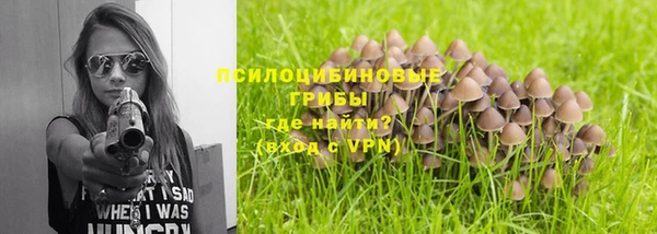 спайс Киреевск