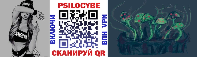 Псилоцибиновые грибы Psilocybine cubensis  Михайловка 